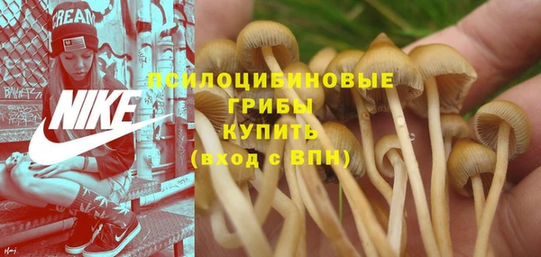 марки lsd Алзамай