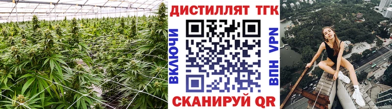 закладки  Далматово  Дистиллят ТГК Wax 