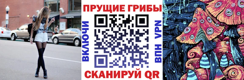 сколько стоит Далматово Псилоцибиновые грибы ЛСД